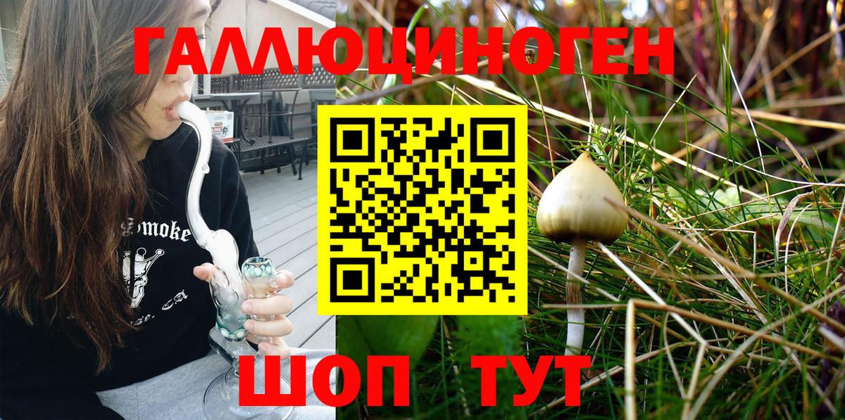 Сердобск  Галлюциногенные грибы Psilocybe  Вход с VPN 