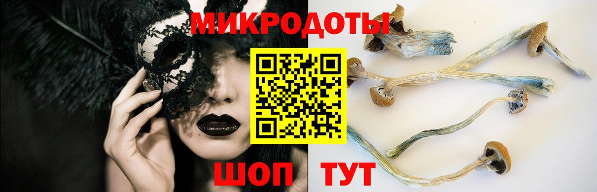 Псилоцибиновые грибы GOLDEN TEACHER Сердобск